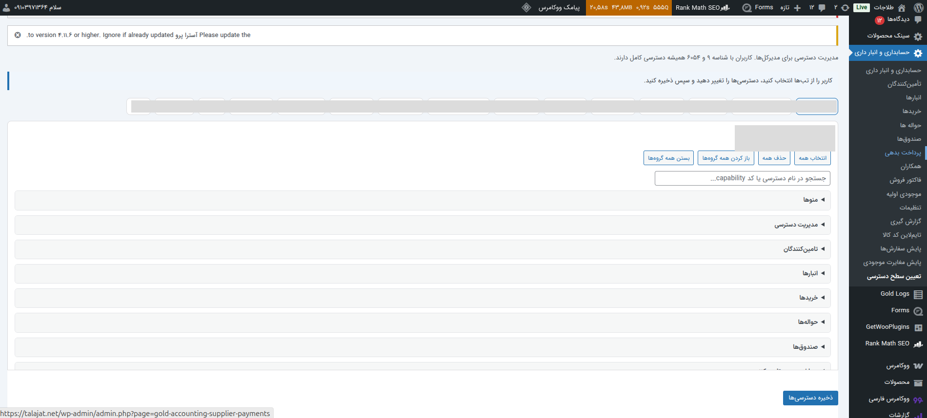 Accounting system view 4